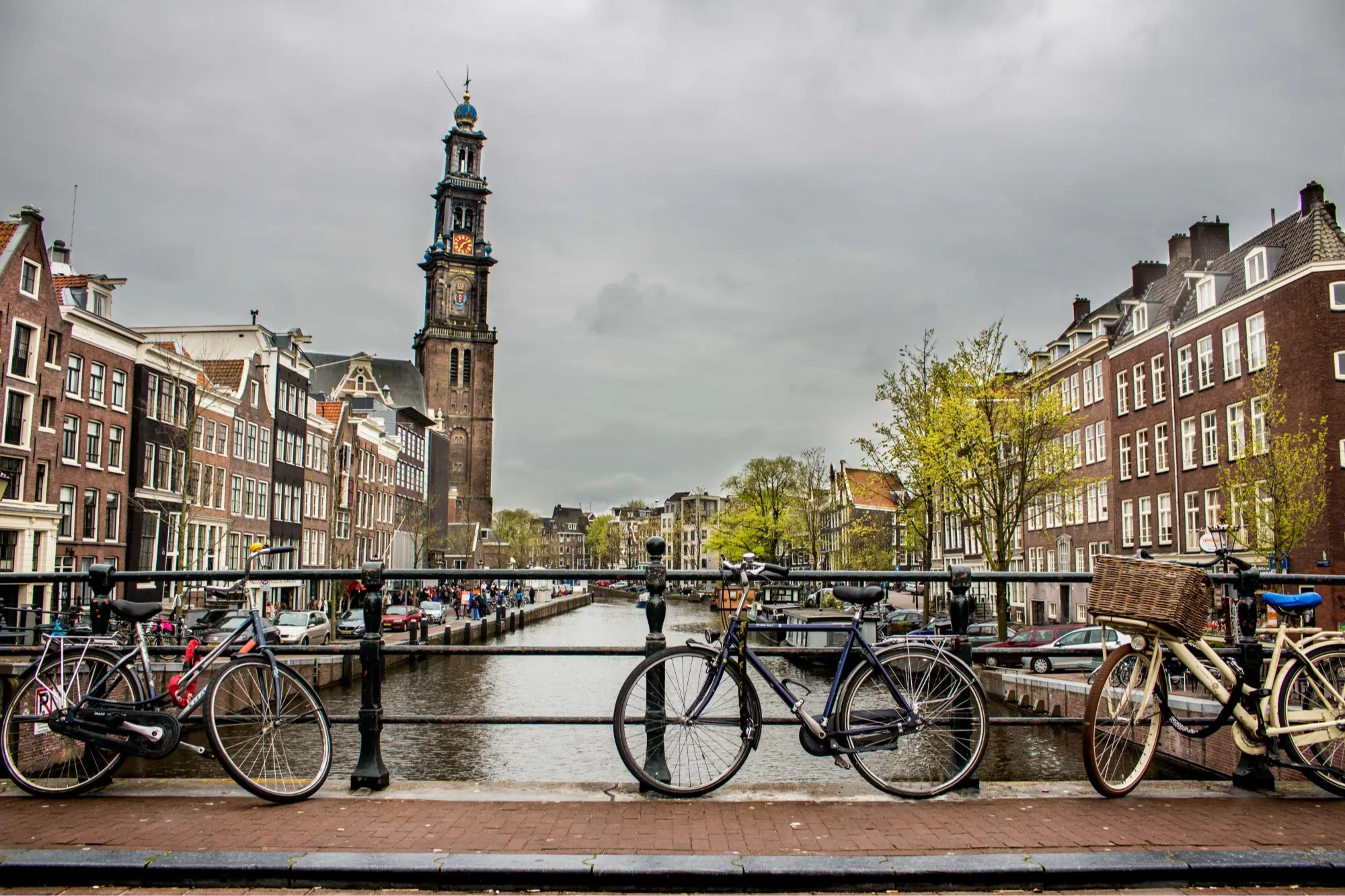 Netherlands BV: A Complete Setup Overview